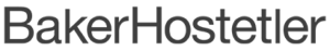 GoogleDrive_logo_bw_bakerhostetler